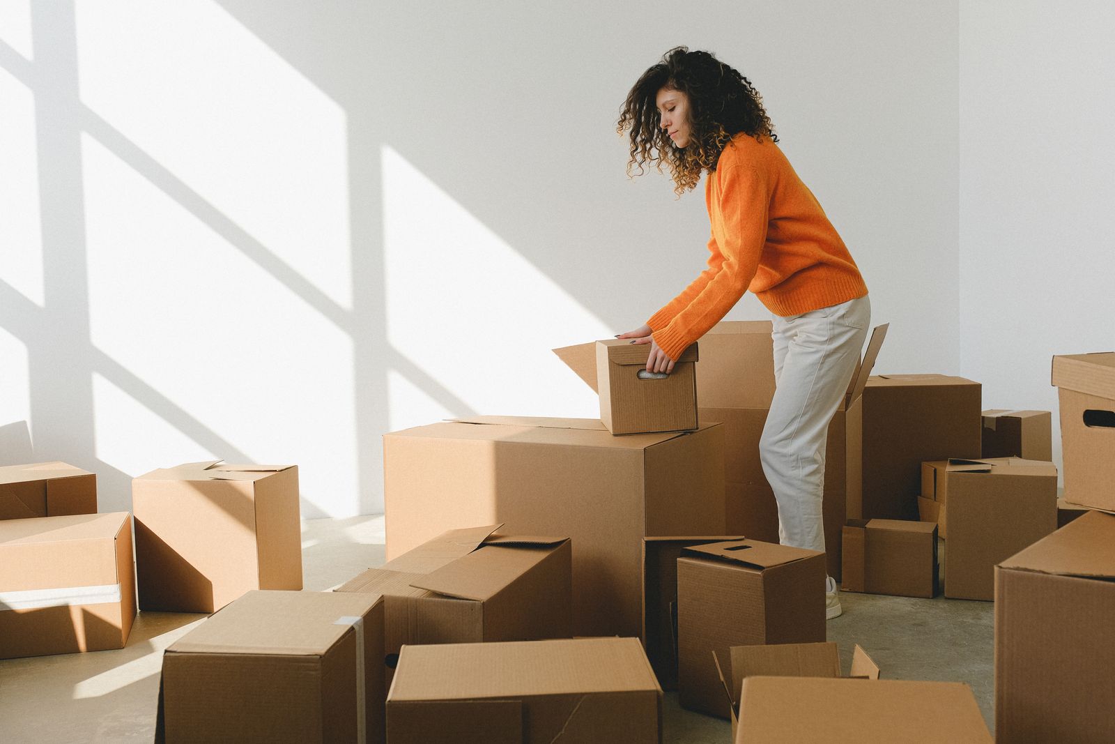 How much do removalists cost in Sydney in 2026?